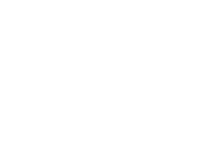 logo de Trawül Trawül