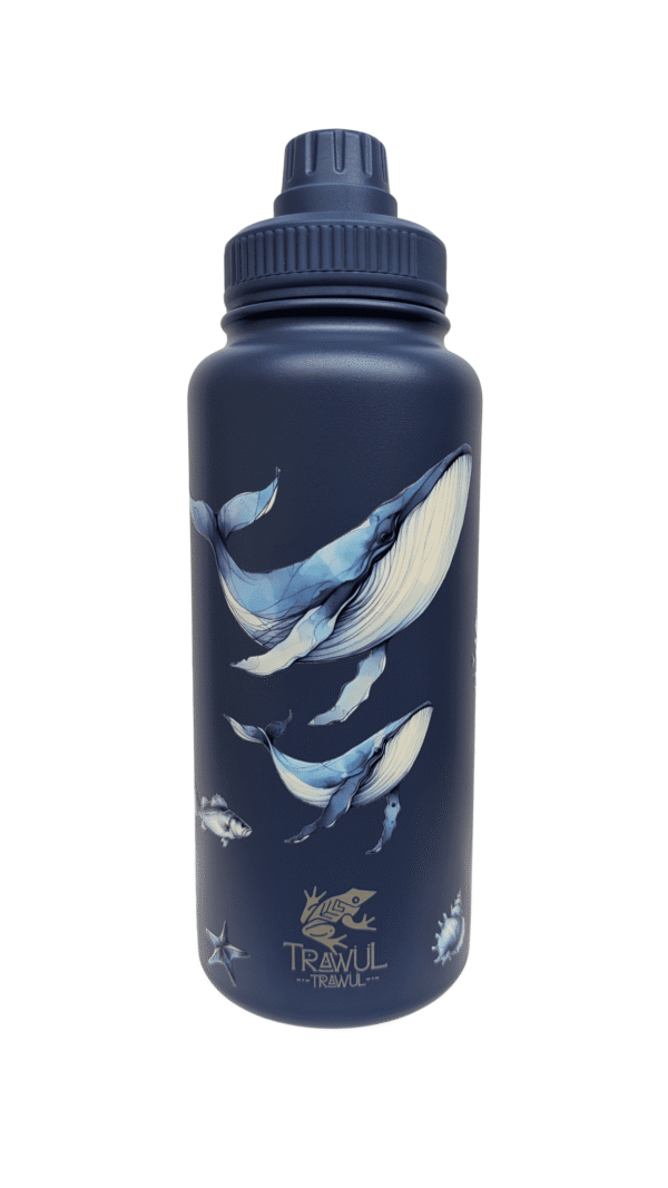 Botella térmica magnética 1L Azul Colección Ecosistemas de Chile Trawül Trawül